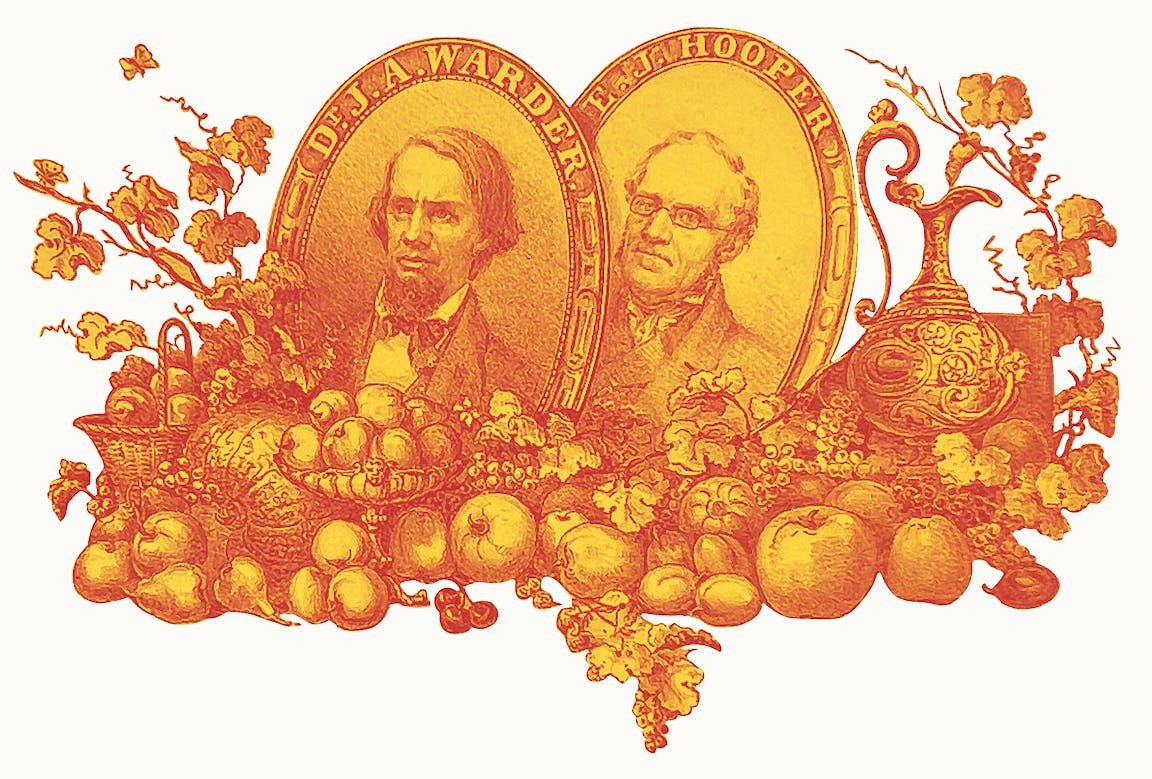 An orange-toned illustration of many apples, with two men's portraits in the middle.